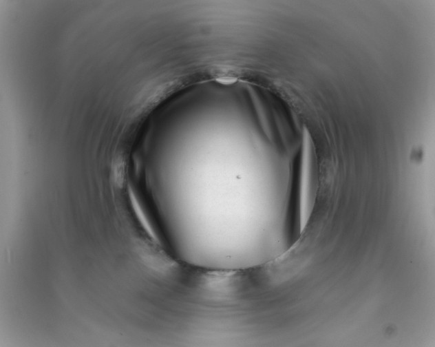 X0000090990090200708161926