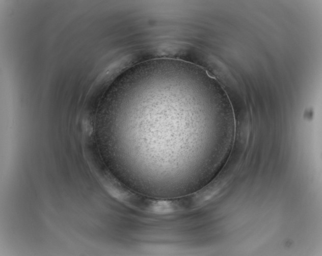 X0000090990091200708161926