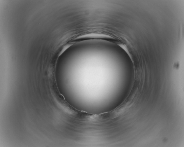 X0000090990092200708161926