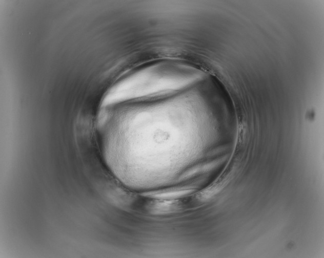 X0000090990093200708161926