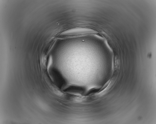 X0000090990094200708161926