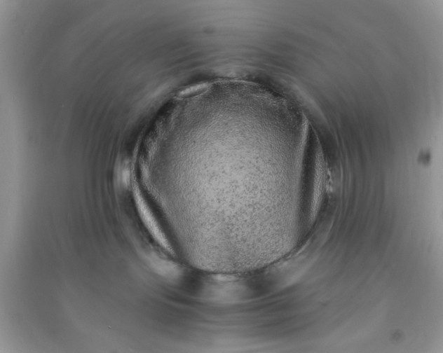 X0000090990095200708161926