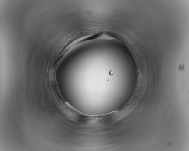 X0000090990096200708161926