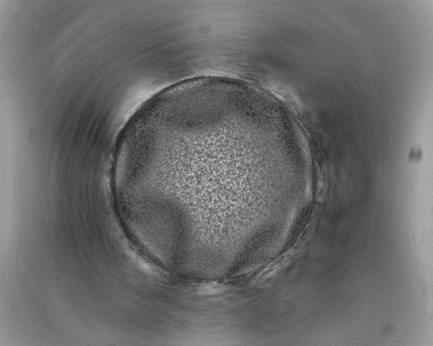 X0000090990098200708161925