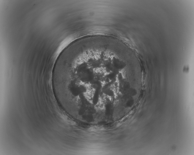 X0000090990099200708161925