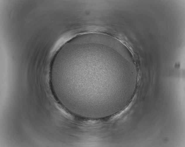 X0000090990101200708161925