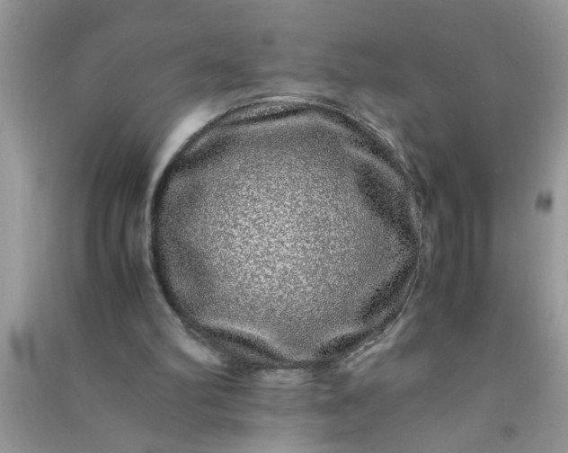 X0000090990102200708161925