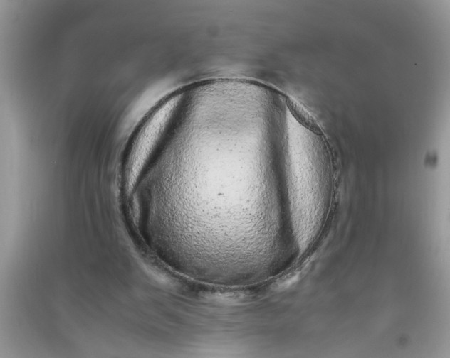 X0000090990103200708161925