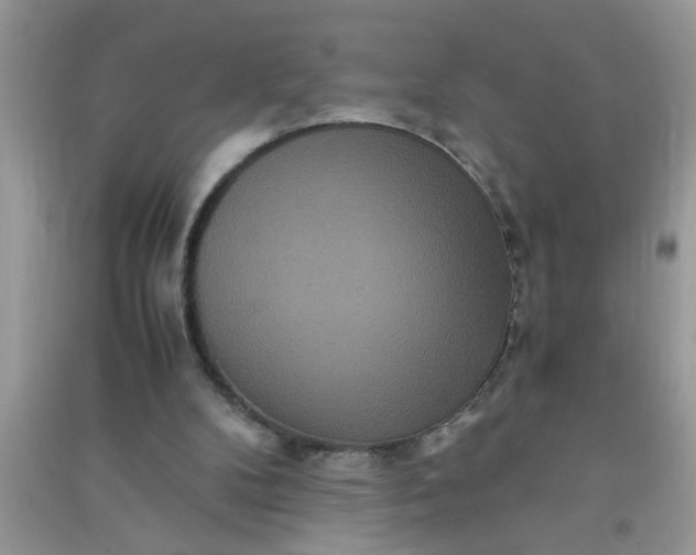 X0000090990104200708161925