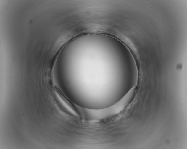 X0000090990105200708161925