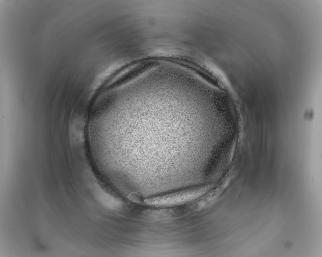 X0000090990106200708161925