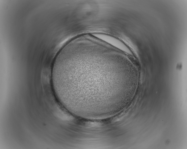 X0000090990107200708161925