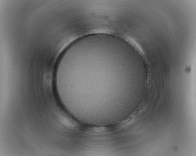 X0000090990108200708161925