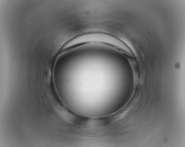 X0000090990109200708161925