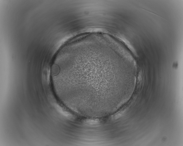 X0000090990110200708161925