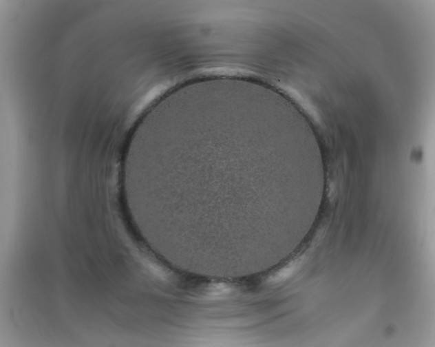 X0000090990111200708161925