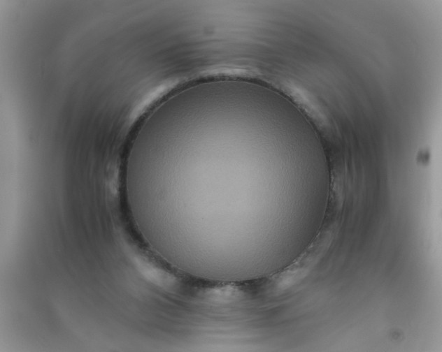 X0000090990112200708161925