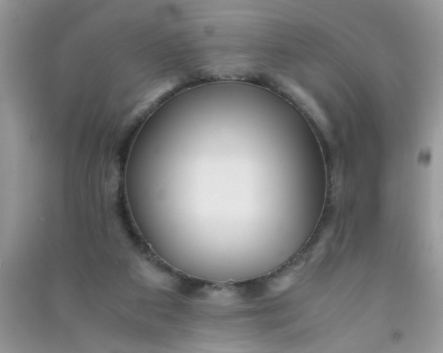 X0000090990113200708161925