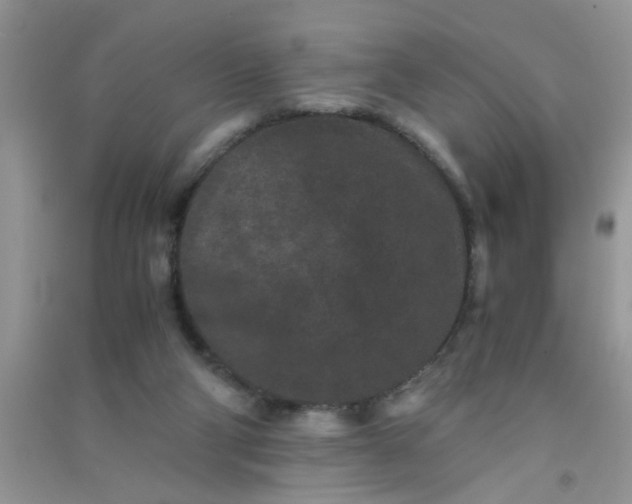 X0000090990114200708161925