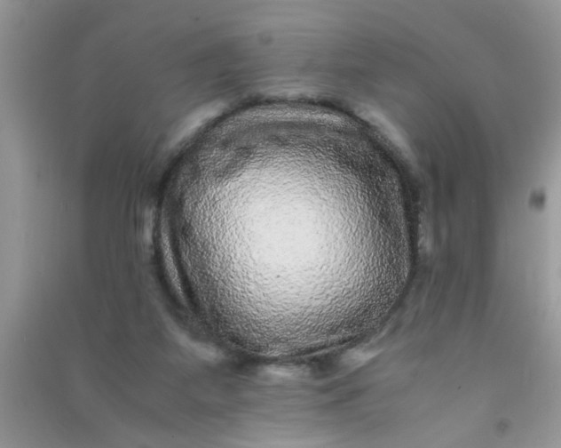 X0000090990115200708161925