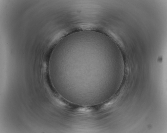 X0000090990117200708161925