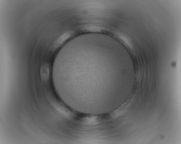 X0000090990120200708161925