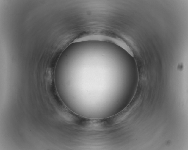 X0000090990121200708161925