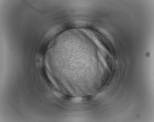 X0000090990123200708161925