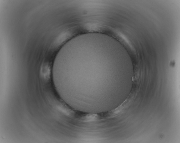 X0000090990124200708161925