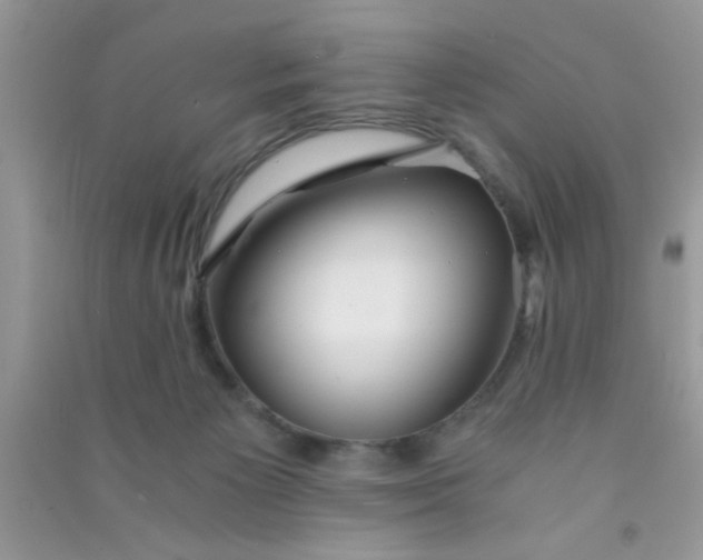 X0000090990125200708161925