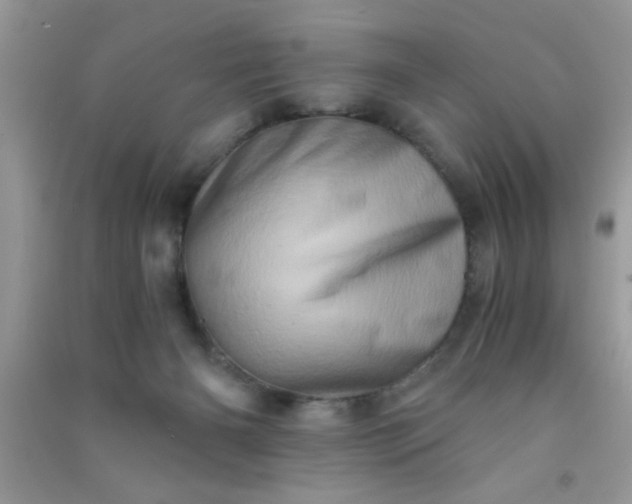 X0000090990126200708161925