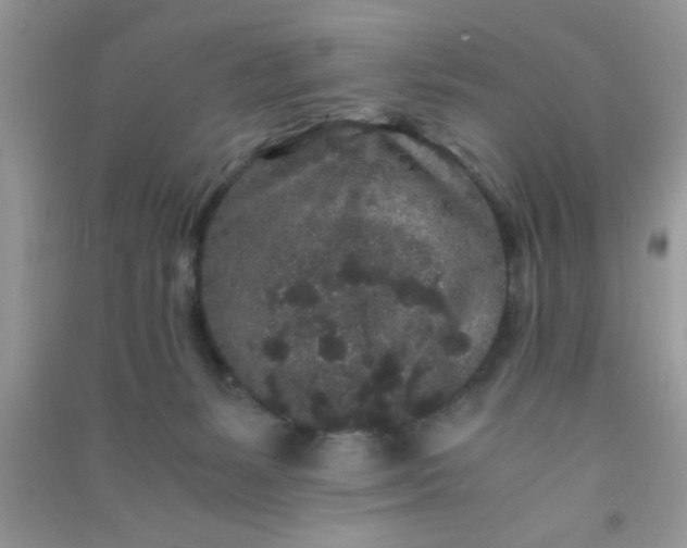 X0000090990127200708161925