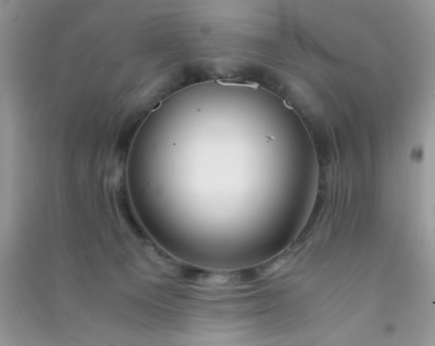 X0000090990129200708161925