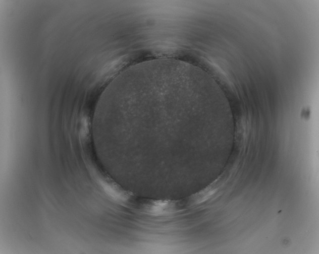 X0000090990130200708161925