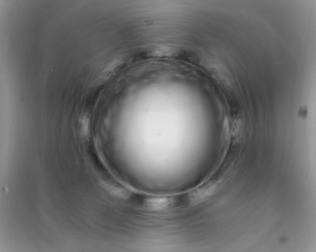 X0000090990131200708161925