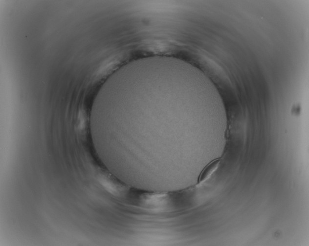 X0000090990132200708161925