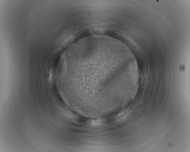 X0000090990134200708161925