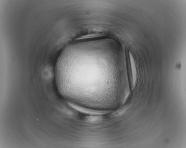 X0000090990135200708161925