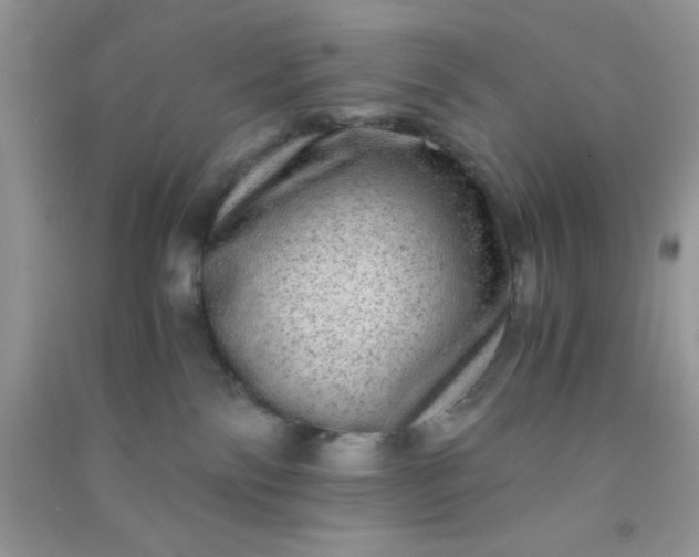 X0000090990138200708161925