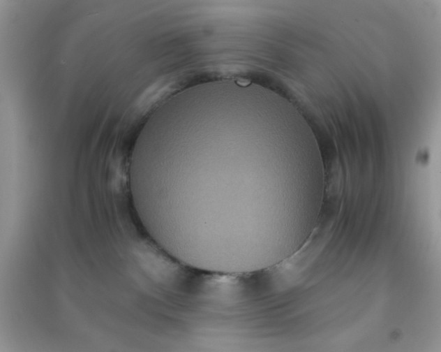 X0000090990140200708161925