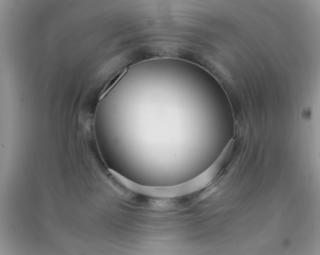 X0000090990141200708161925