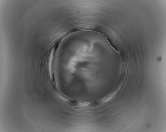 X0000090990143200708161925