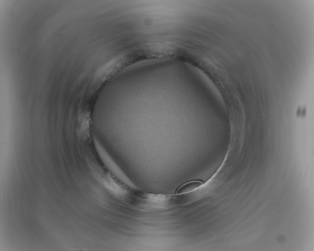 X0000090990144200708161925