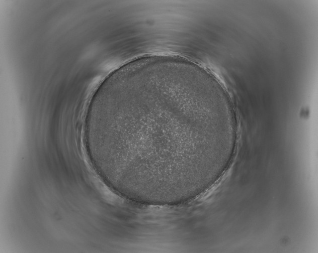 X0000090990145200708161924