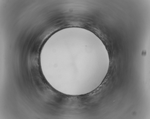 X0000090990146200708161924