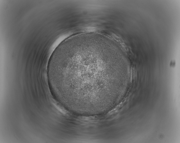 X0000090990147200708161924