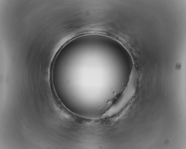 X0000090990148200708161924