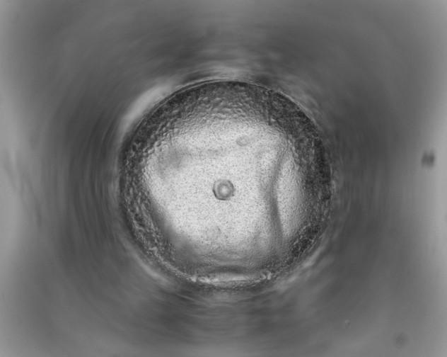 X0000090990149200708161924