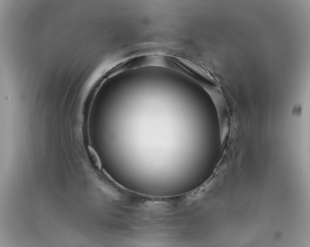 X0000090990150200708161924