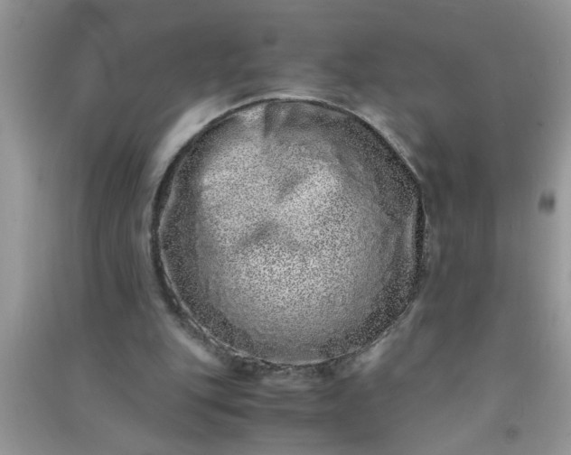 X0000090990151200708161924